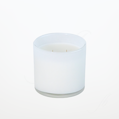 Classic White 15 Ounce Candle by The First Burn