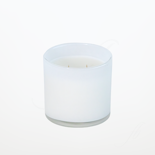 Classic White 15 Ounce Candle by The First Burn
